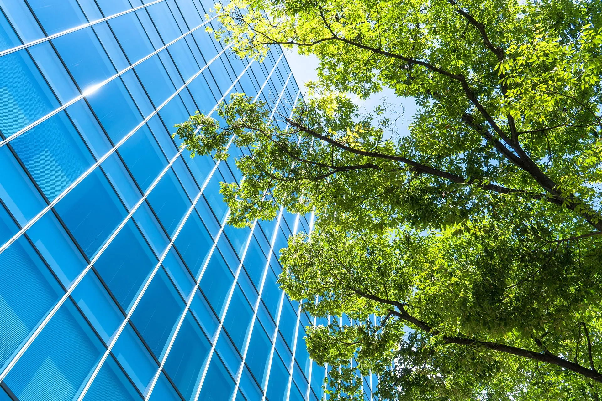 トカクサポート